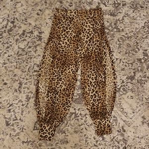 Leapord Harem/Jogger pants